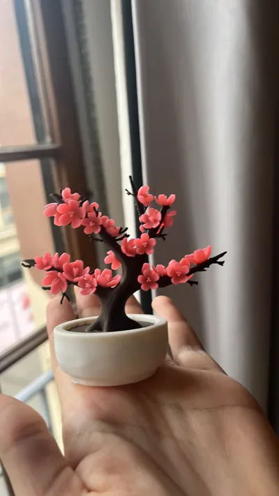 Bonsai pequeño