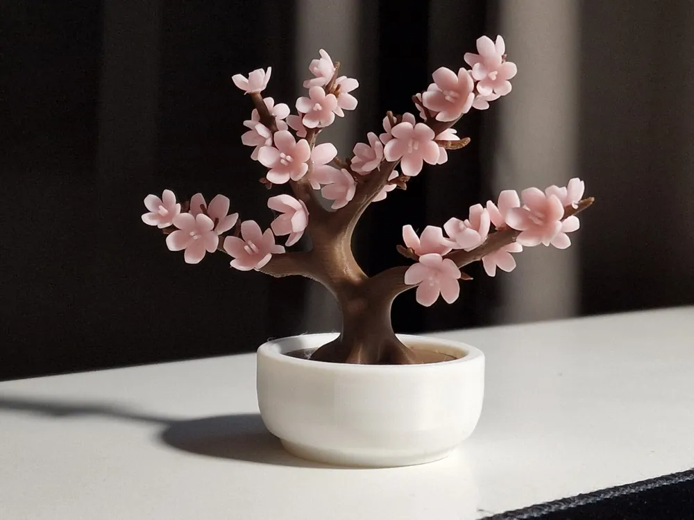Bonsai pequeño