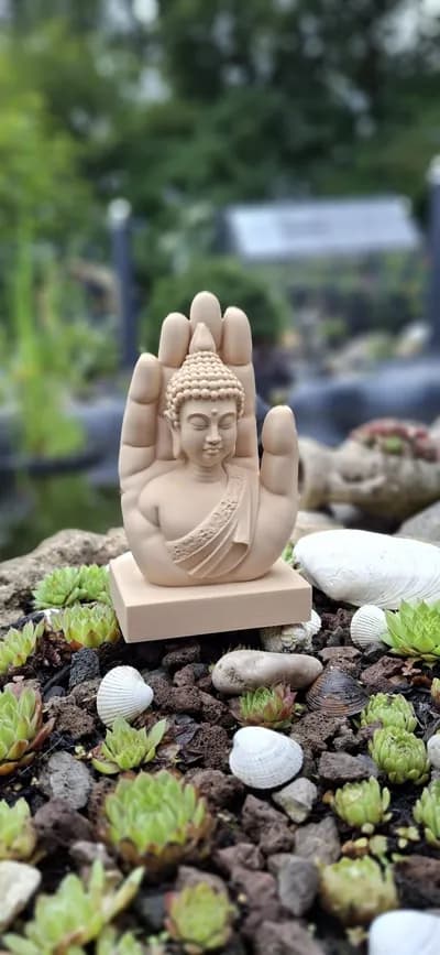 Mano buda